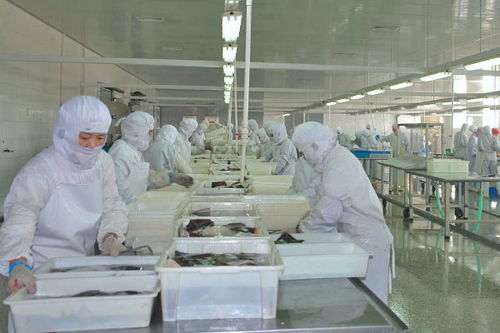 食品凈化車間的設(shè)計方案要求